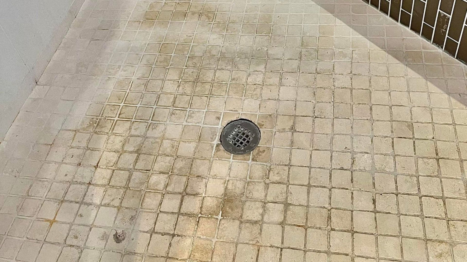 1_1cc99336-ad0a-47c3-bf9e-8fe811fe5f20